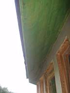tullahemp 2990.jpg